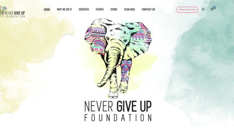 Never Give Up Foundation